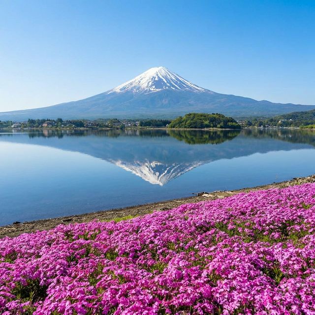 Lake Kawaguchiko view with seasonal flowers and mountains