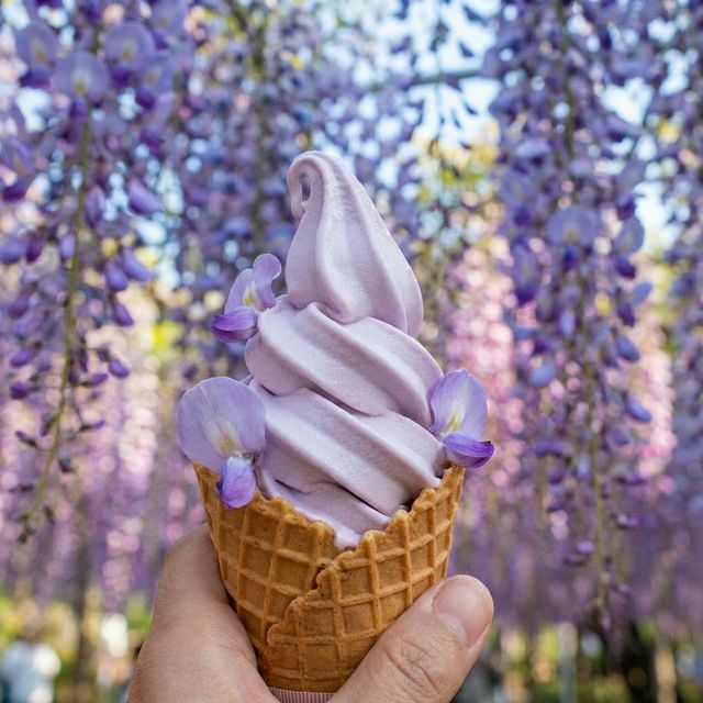 Signature purple wisteria flavored soft serve ice cream